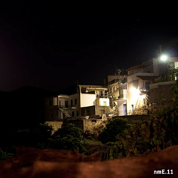 skopi2011.jpg